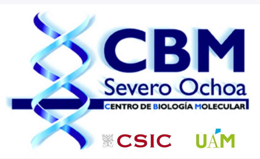 logo_CBMSO